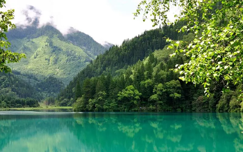 精密独特